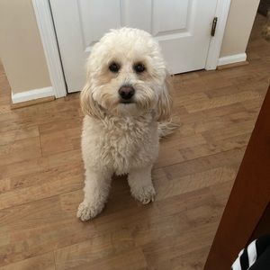 Meet your Posher, Edgardo